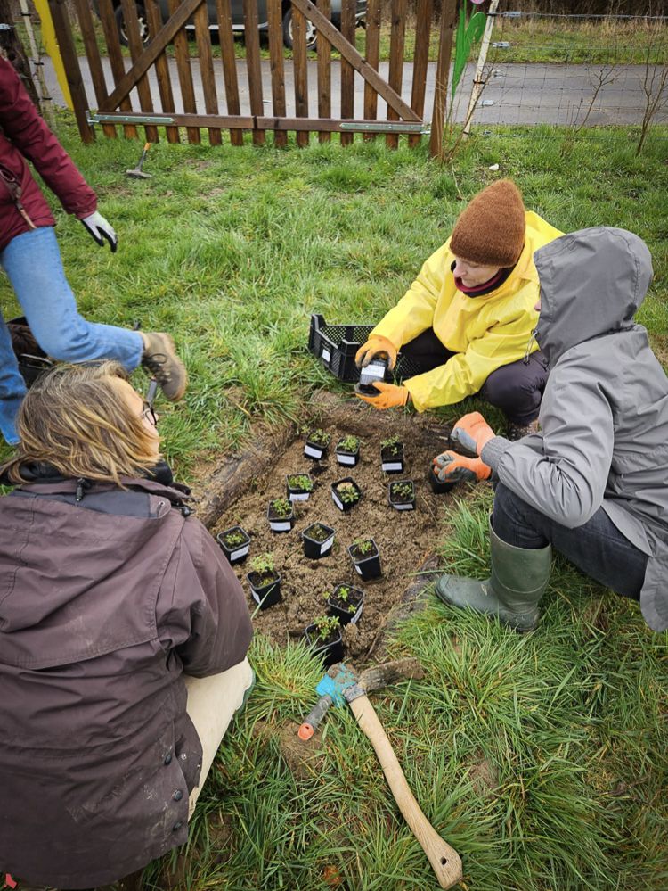 2026 03 14 Chantier nature-7