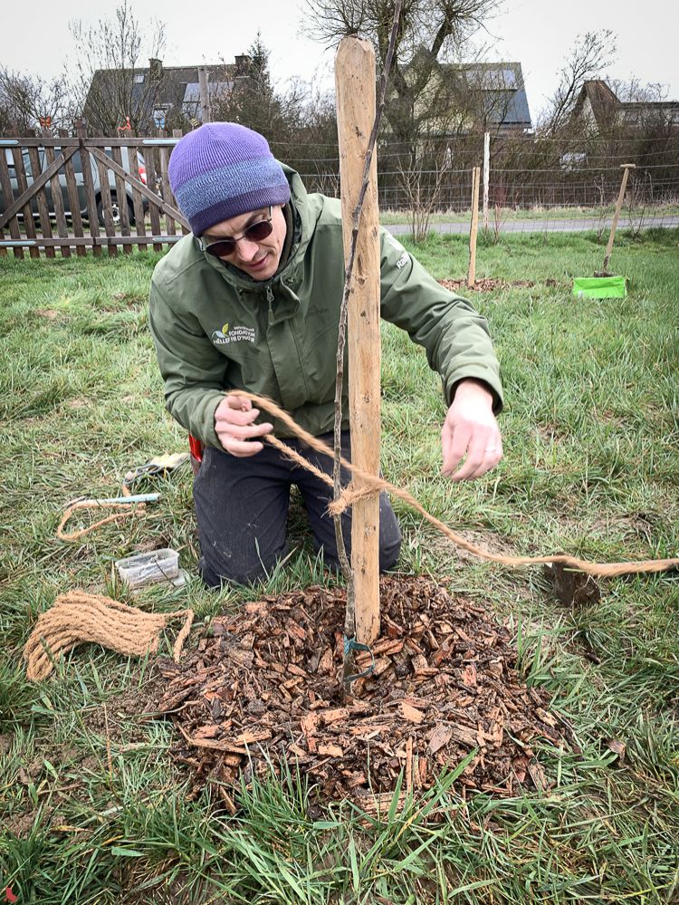 2026 03 14 Chantier nature-2888