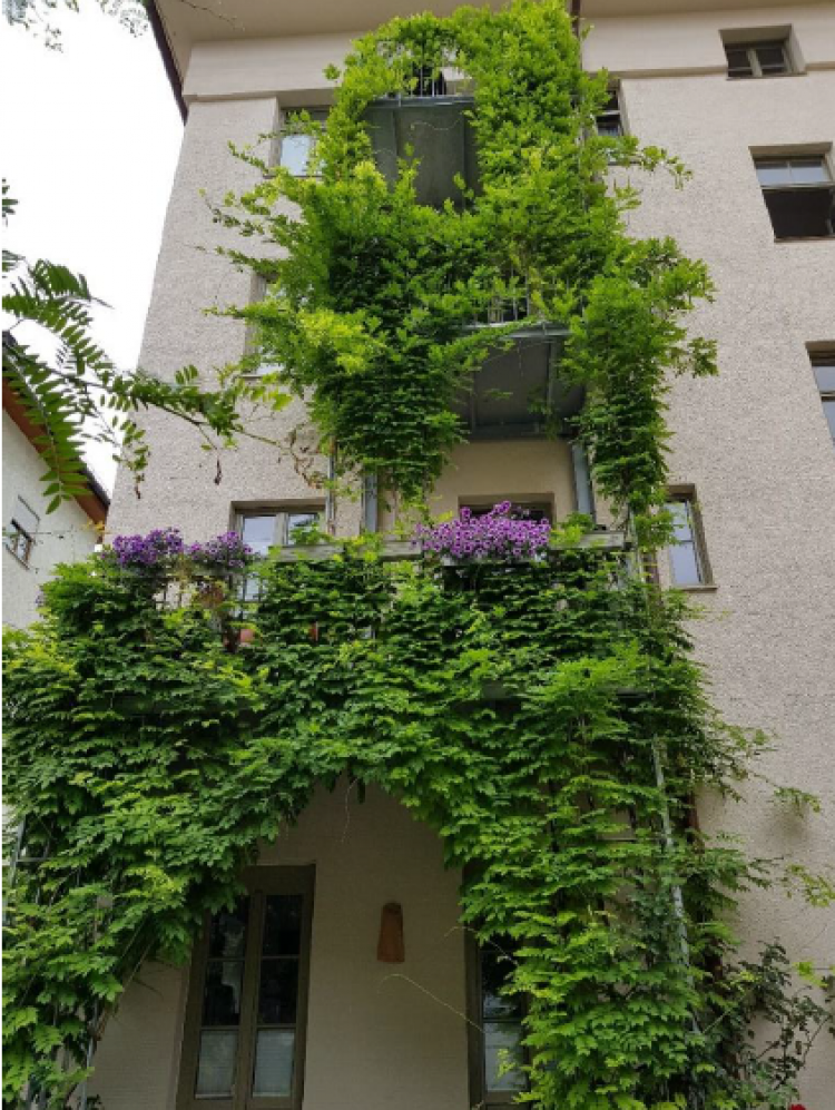 Screenshot 2026-03-27 081009