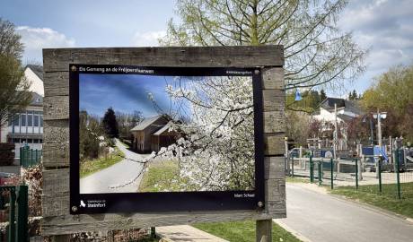 2026 04 15 Billerwee Fréijoer (1 sur 6)