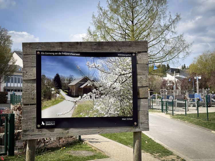 2026 04 15 Billerwee Fréijoer (1 sur 6)