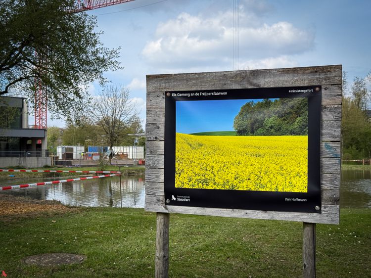 2026 04 15 Billerwee Fréijoer (2 sur 6)