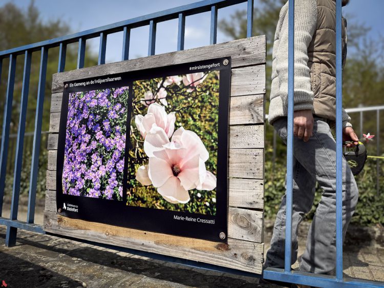 2026 04 15 Billerwee Fréijoer (6 sur 6)