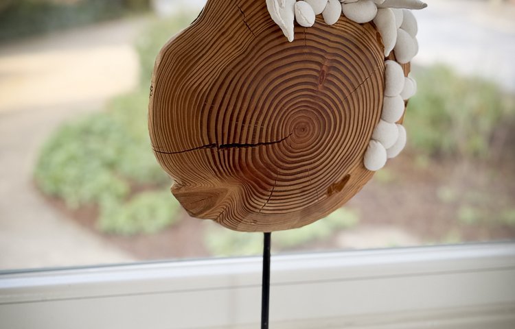 2026 04 16 Vernissage Galerie CollART-3485