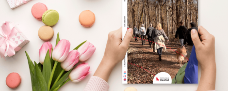 Stengeforter Neiegkeeten 119 Mockup