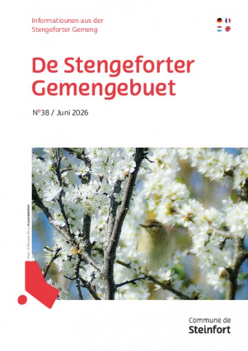 De Gemengebuet N°38 Juni 2026