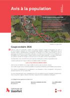 Avis Coupe scolaire