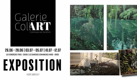 Facebook Post Galerie CollART Hope Bartley