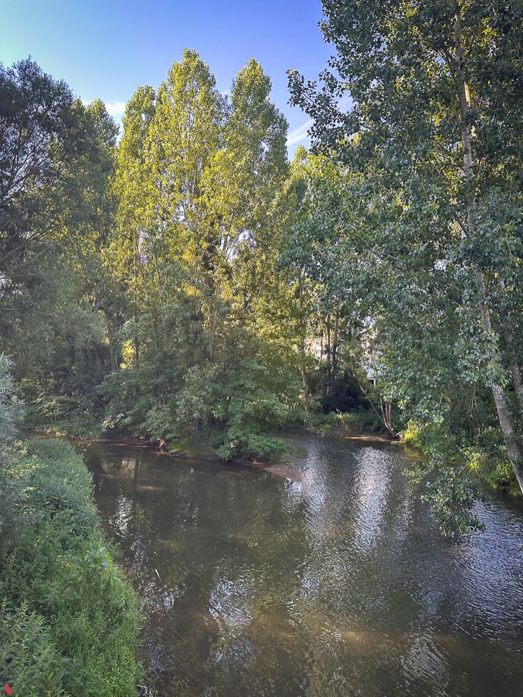 2026 06 Naturpaktdag-5234