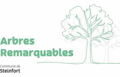 Arbres remarquables