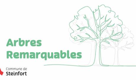 Arbres remarquables
