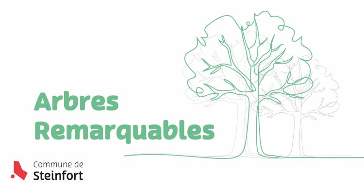 Arbres remarquables