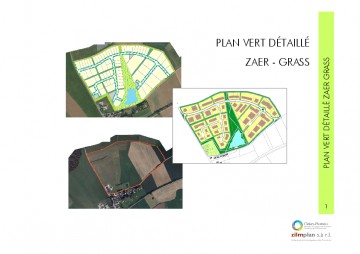 PAP ZARO Grass - plan vert detaille