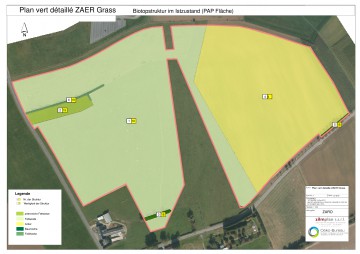 PAP ZARO Grass - biotopstruktur im ist zustand pap flache