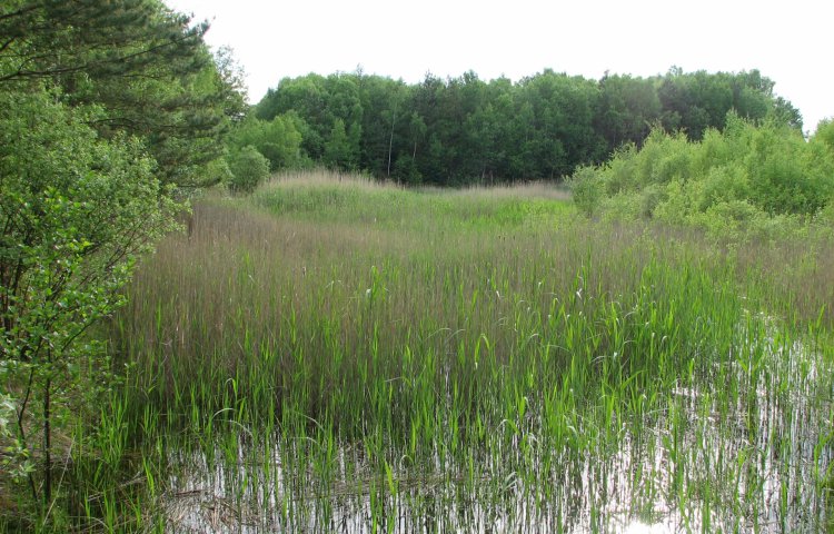 Réserve naturelle Stengeforter Steekaulen