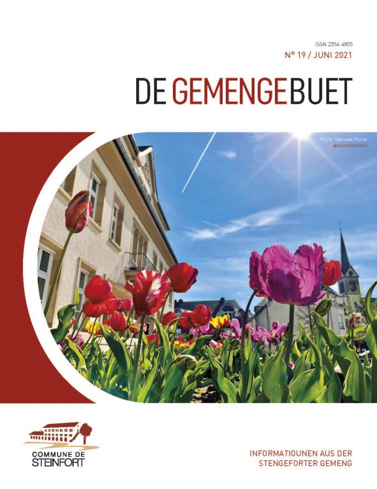 De Gemengebuet N°19 Juni 2021