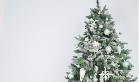 christmas-tree-background(1)