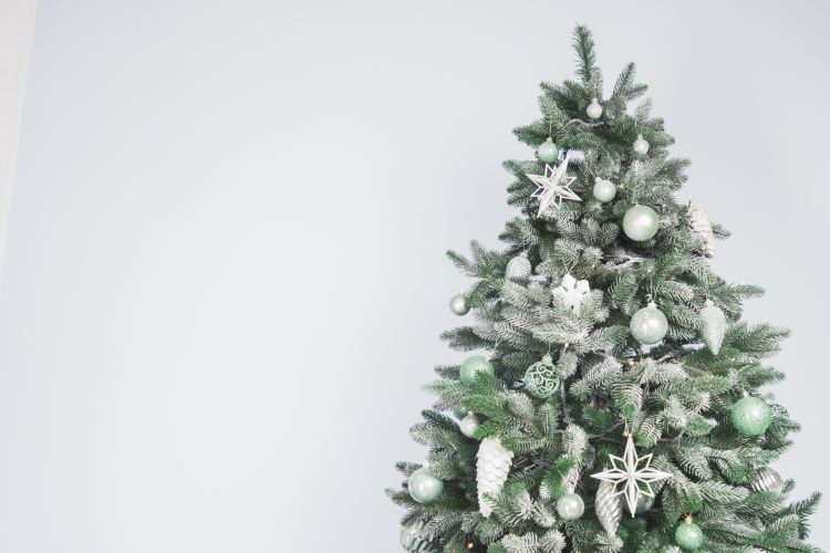 christmas-tree-background(1)