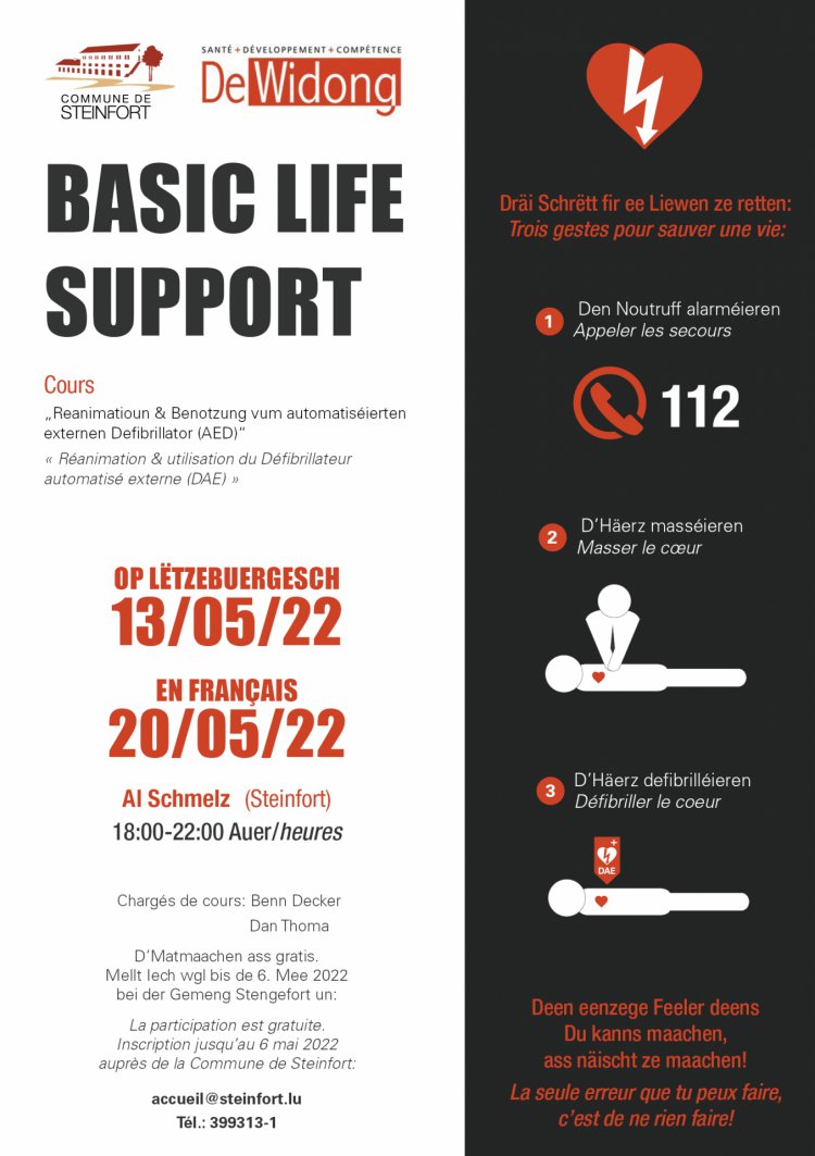basic fit support