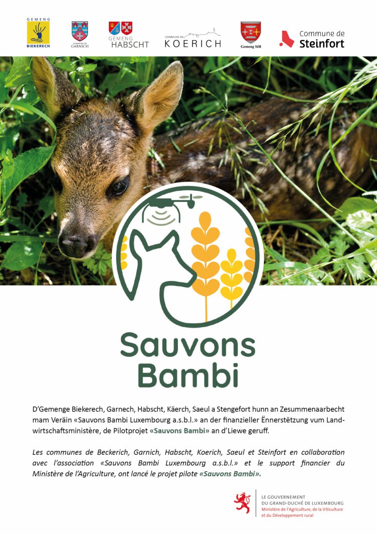 2023 03 16 Savons Bambi