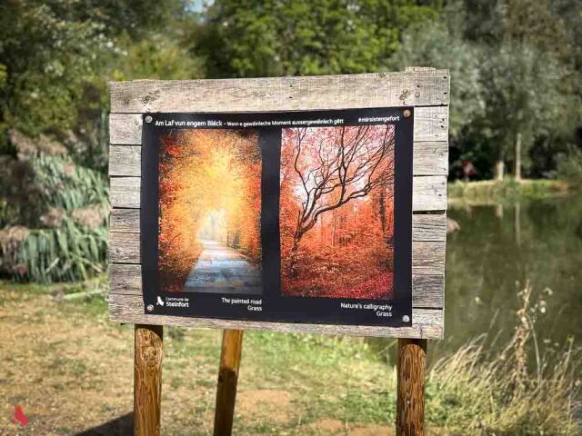 Panneau de l'exposition Billerwee « Am Laf vun engem Bléck » près d'un étang, avec les photos « The painted road » et « Nature's calligraphy » (Grass)