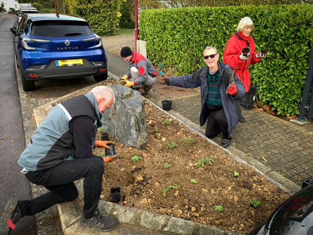 Des bénévoles souriant·e·s plantent des plants autour d’un rocher dans un parterre en bord de rue