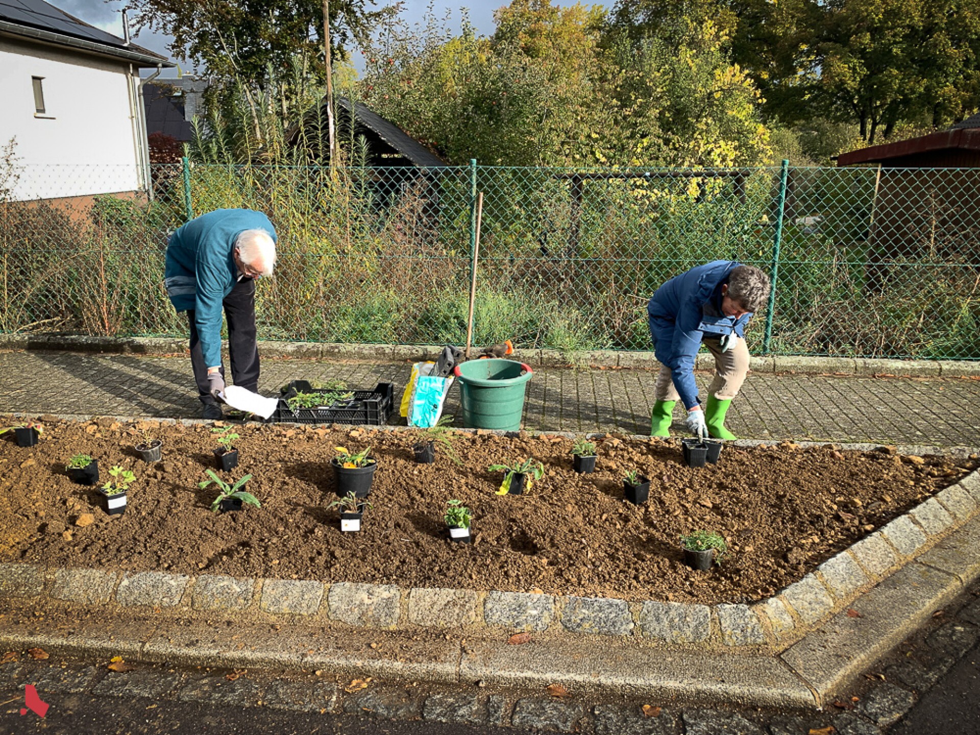 Deux bénévoles plantent de jeunes plants dans un parterre en bord de rue