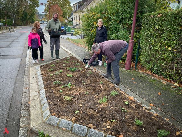 Un bénévole travaille la terre autour des jeunes plants, sous le regard de participant·e·s de tous âges
